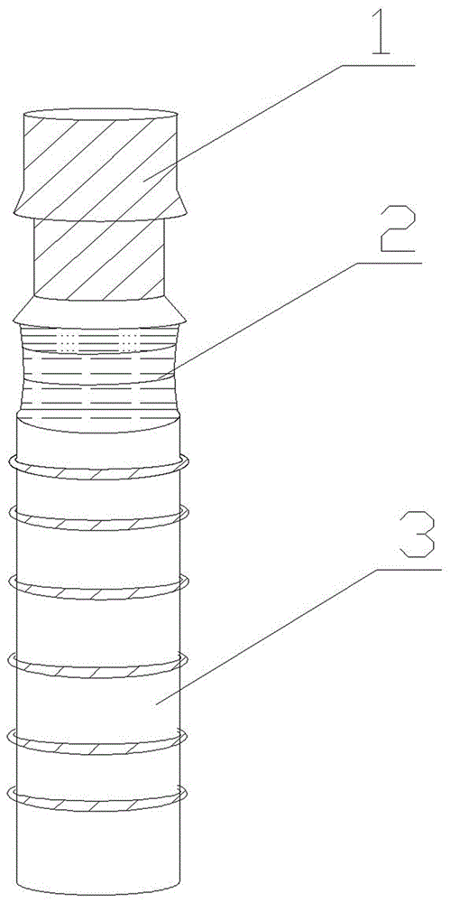 One-step individually molded dental implant