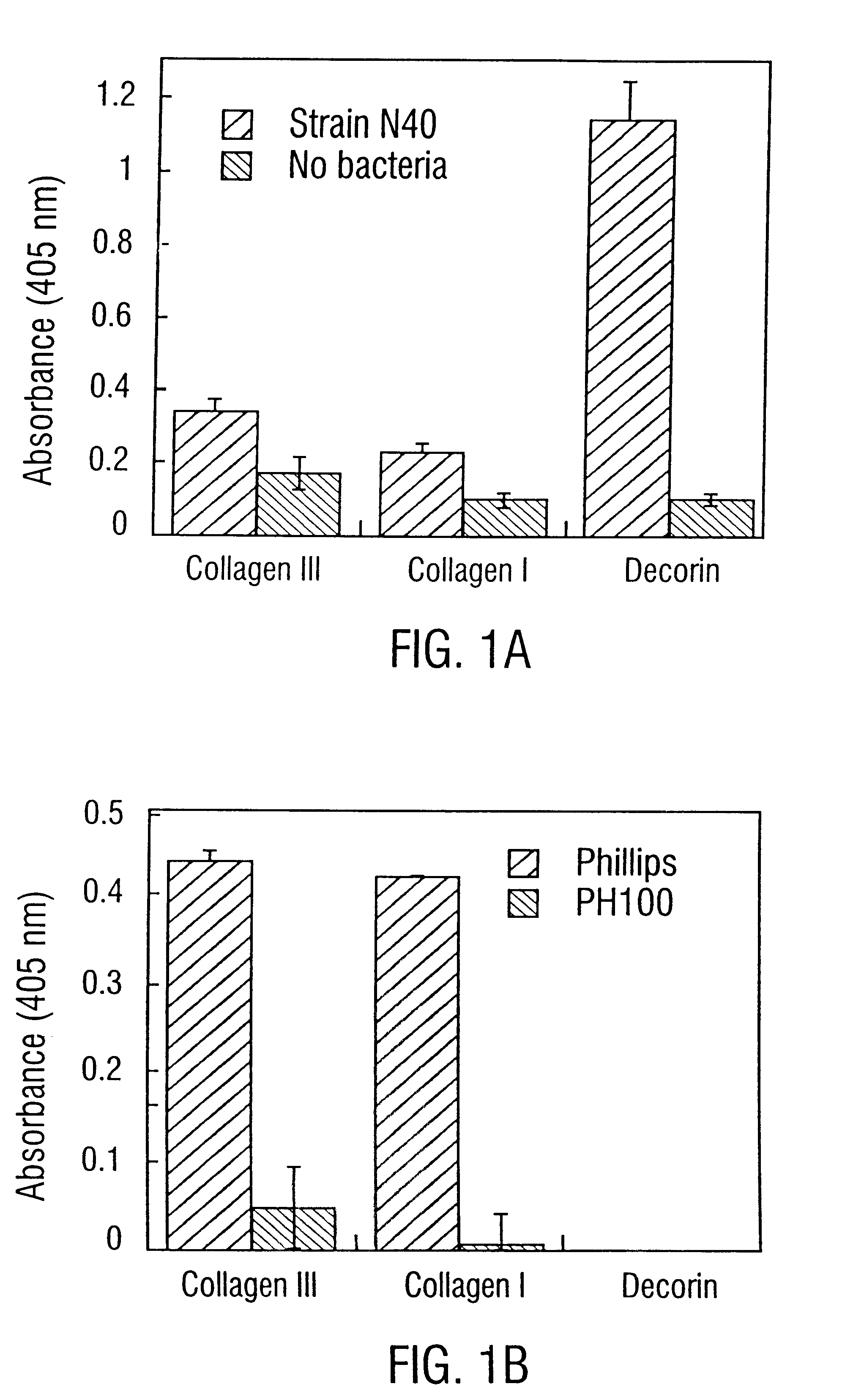 Decorin binding protein compositions