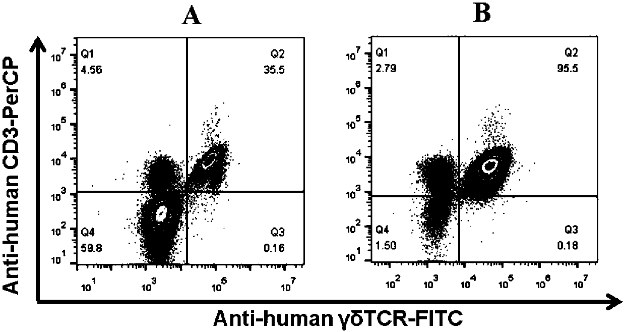 Composition for stimulating and inducing single karyocyte to be amplified to gamma deltaT cell and application of composition