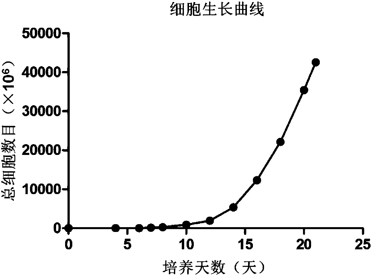 Composition for stimulating and inducing single karyocyte to be amplified to gamma deltaT cell and application of composition