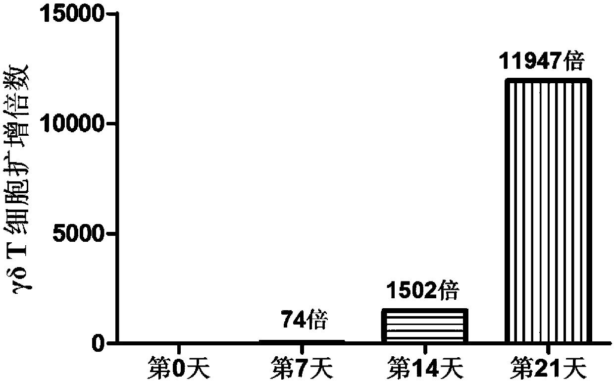 Composition for stimulating and inducing single karyocyte to be amplified to gamma deltaT cell and application of composition