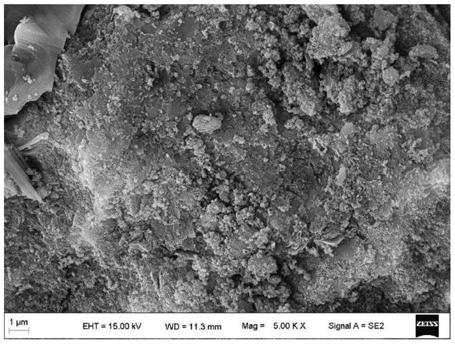 Iron tailings based geopolymer porous material and preparation method thereof