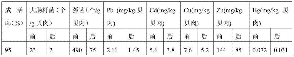 A kind of clam product purification method