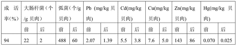 A kind of clam product purification method