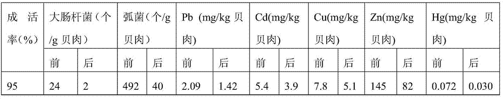 A kind of clam product purification method