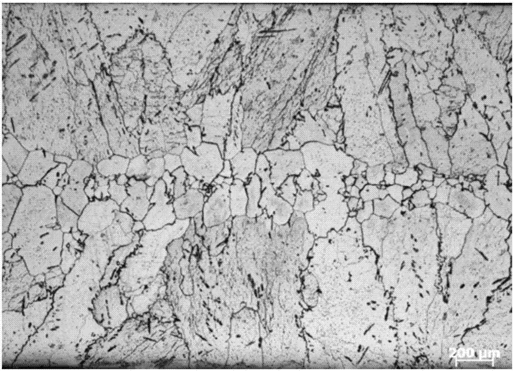 Method for preparing developed {100} texture non-oriented silicon steel thin belt based on thin belt continuous casting