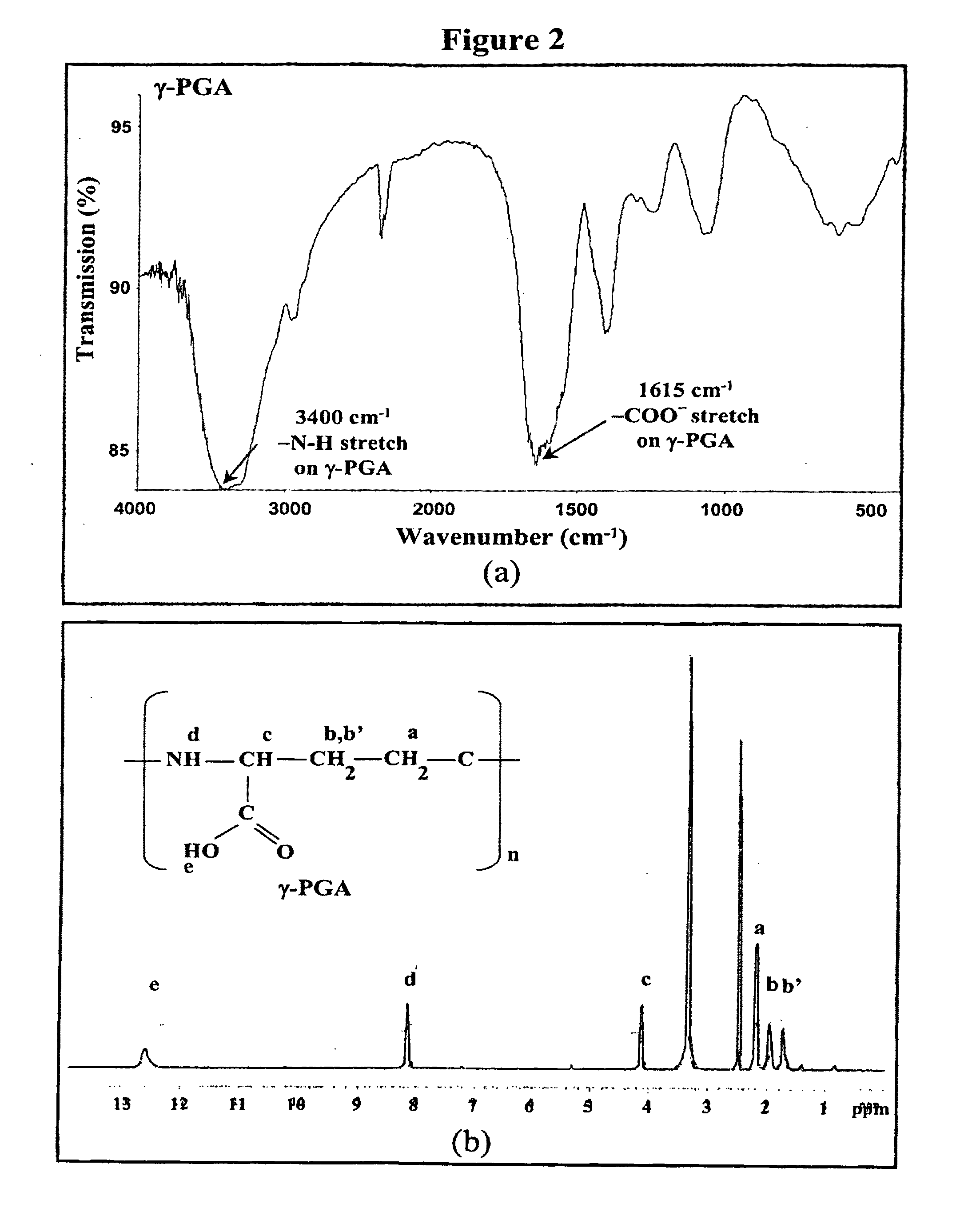 Nanoparticles for protein drug delivery