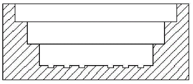 Method and special mould for preparing tissue and organ precursor with multi-branch channels