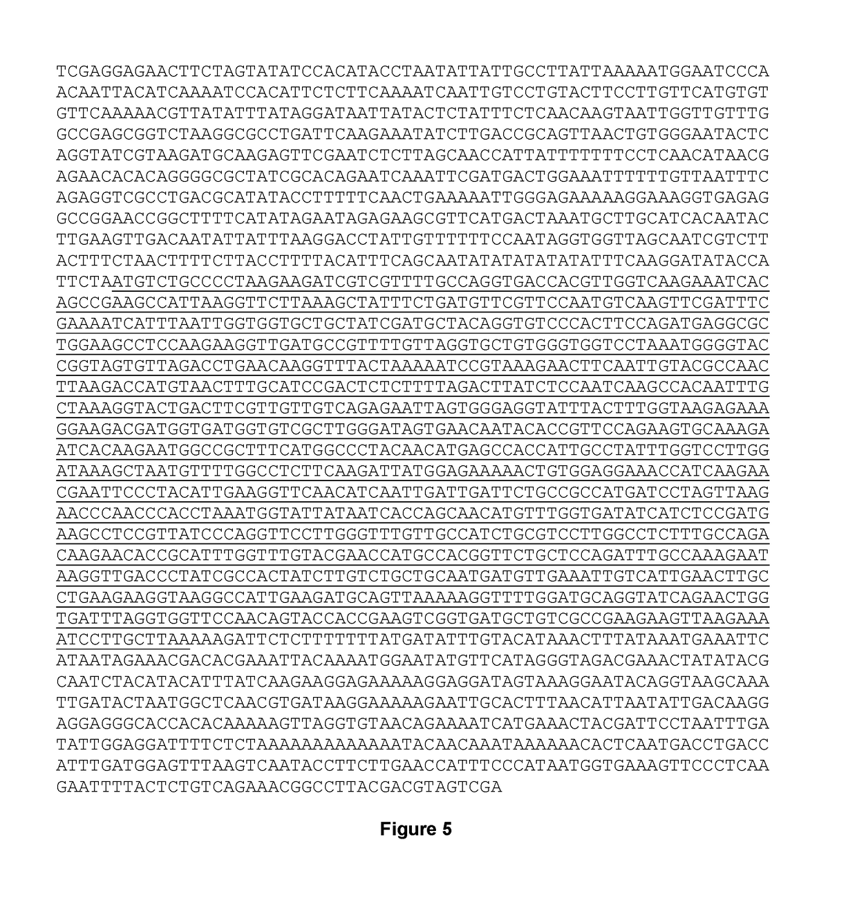 Expression cartridge for the transformation of eukaryotic cells, method for transforming eukaryotic cells, genetically modified organism, method for producing biofuels and/or biochemicals, and thus produced biofuel and/or biochemical