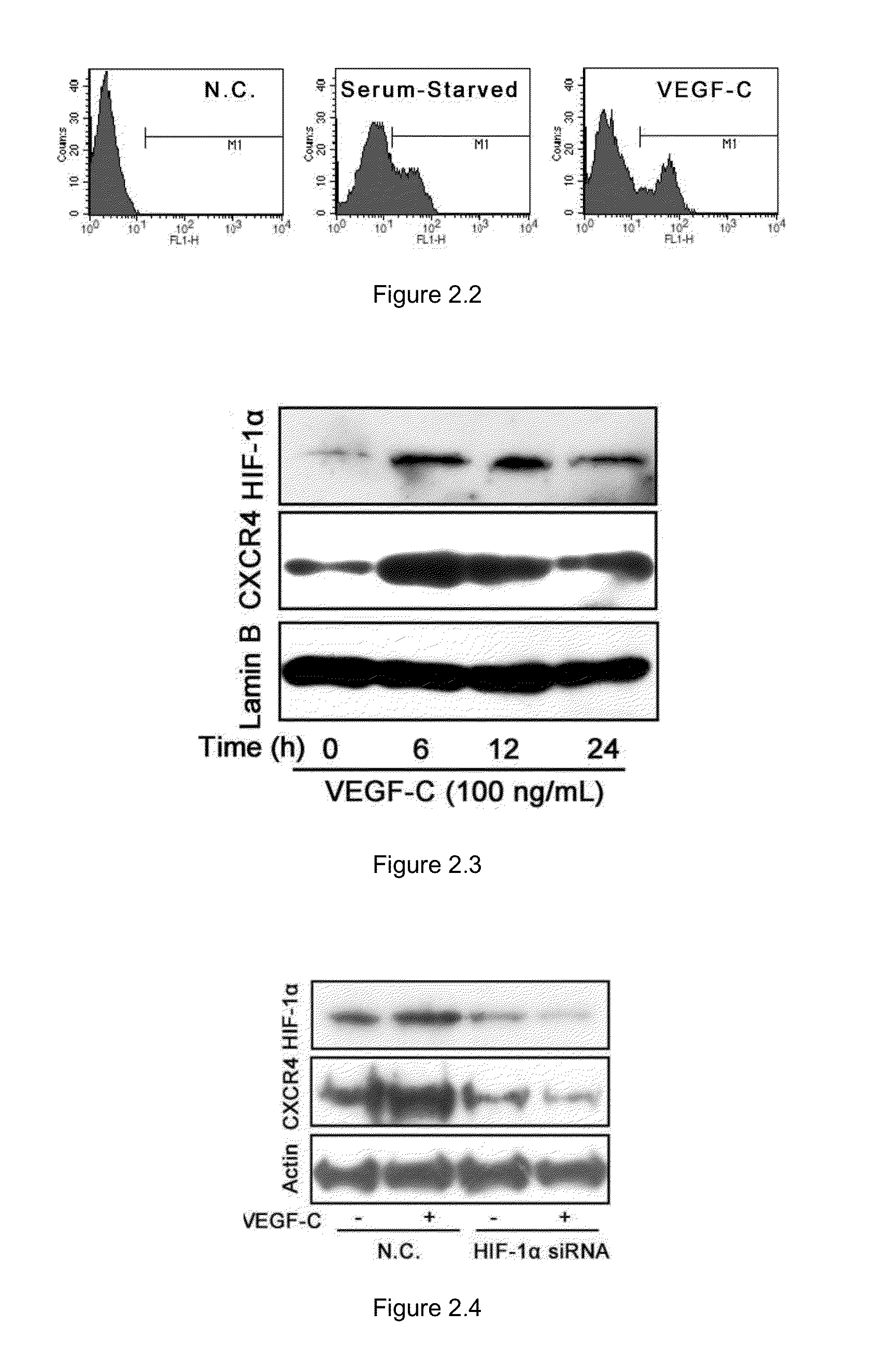 Method and medicament for inhibiting lymphangiogenesis