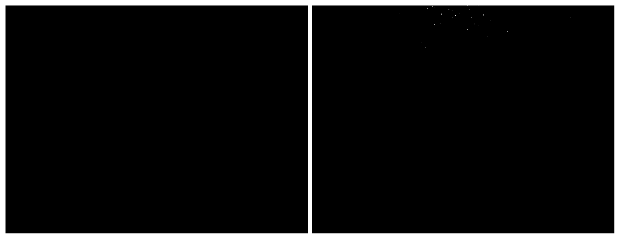 High-plasticity biodegradable Zn-2Li alloy under GPa-level high-pressure effect and preparation method thereof