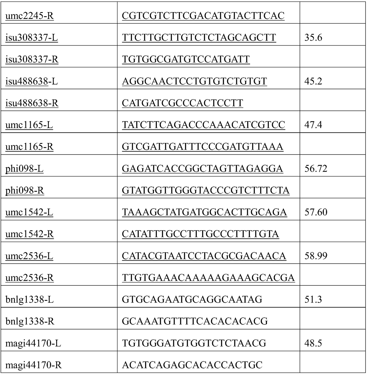 Method for rapid breeding of maize leafless tongue inbred lines with assistance of molecular markers