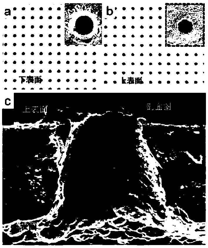 Composite structure film based on double-gradient tapered hole array, and preparation method thereof