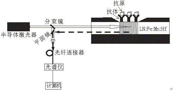 Optical biological detection method based on tri-doped lithium niobate crystal