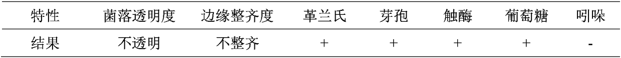 Bacillus amyloliquefaciens for preventing and curing strawberry wilt and application thereof