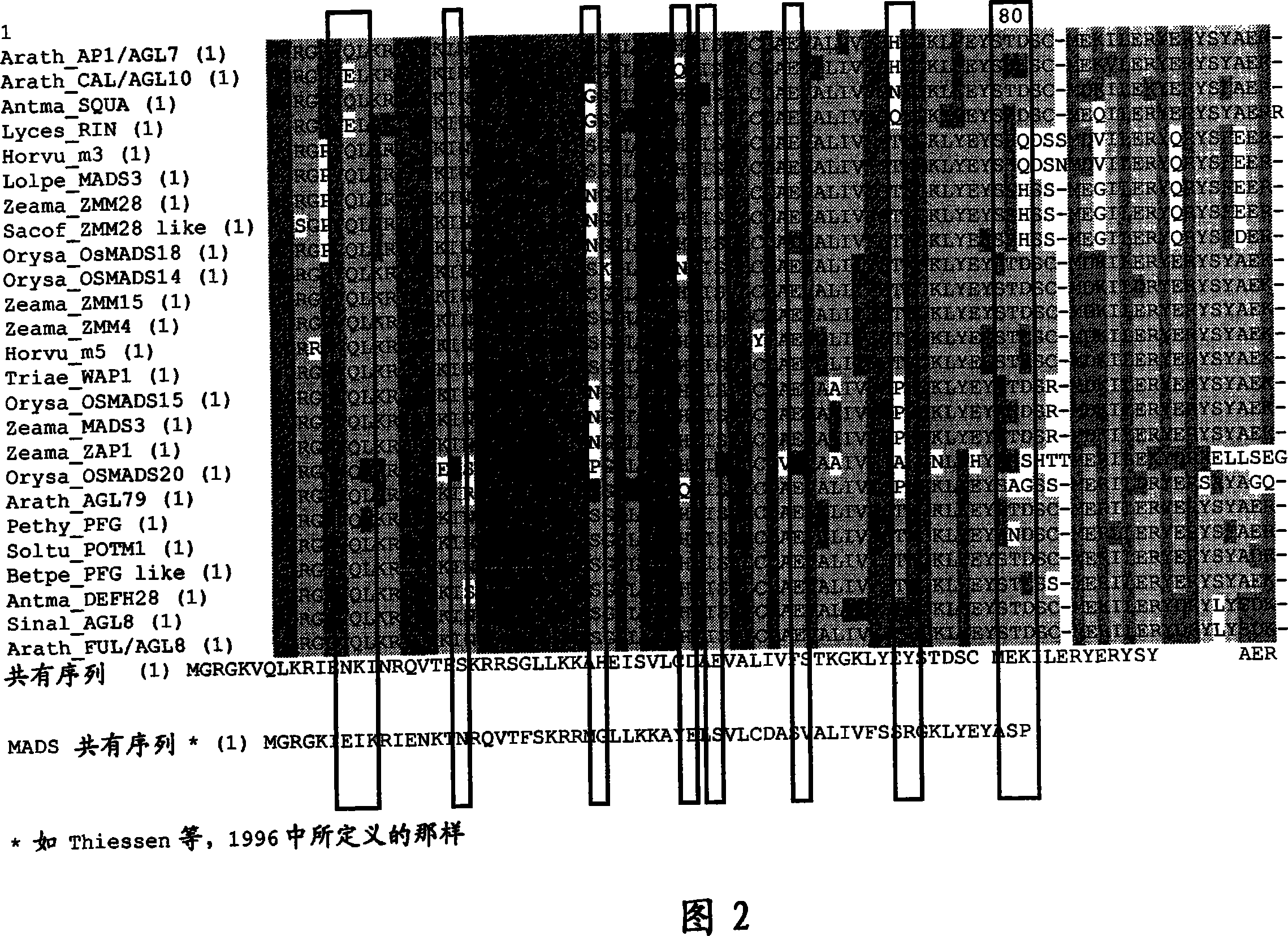 Plants having increased yield and a method for making the same