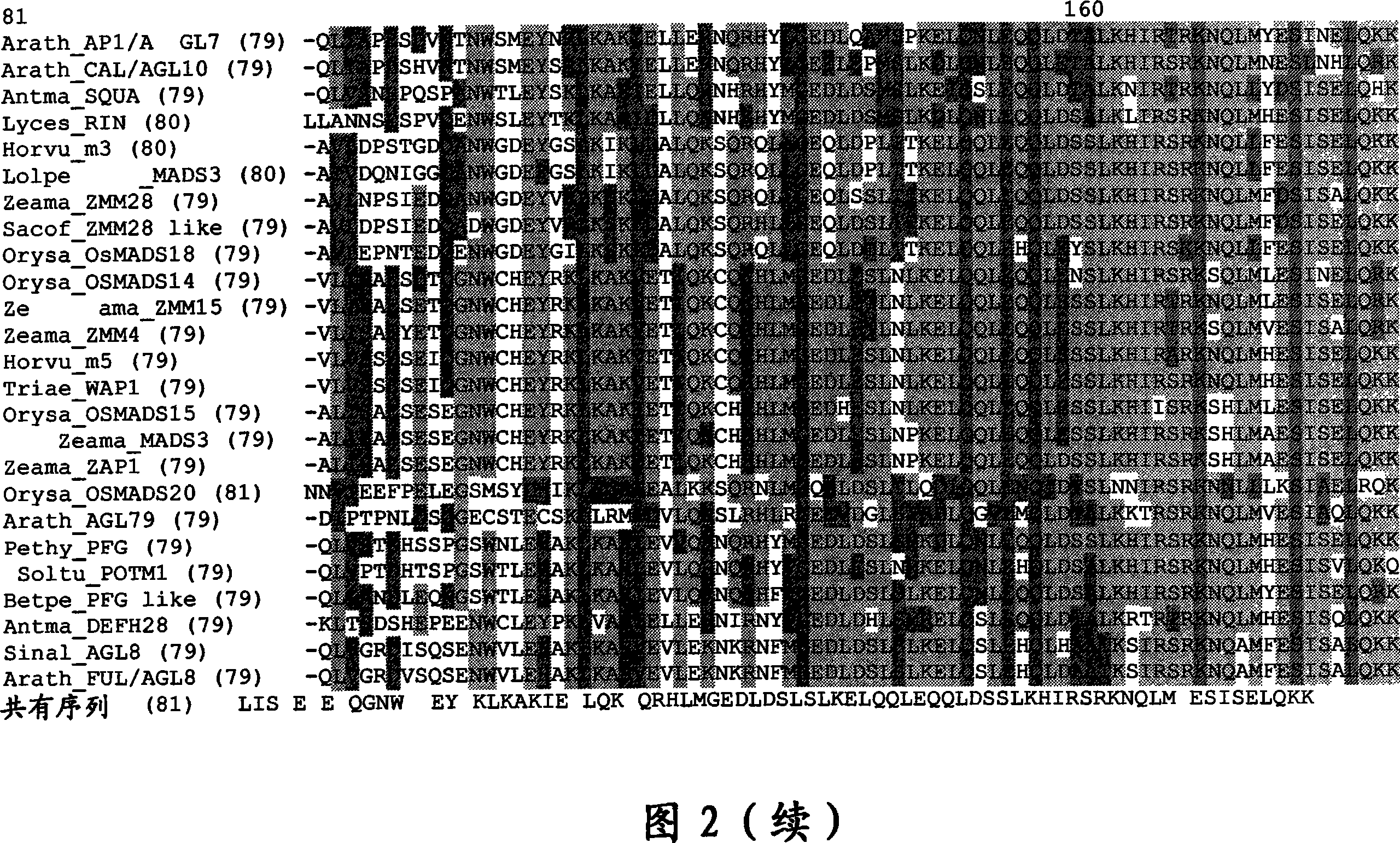 Plants having increased yield and a method for making the same