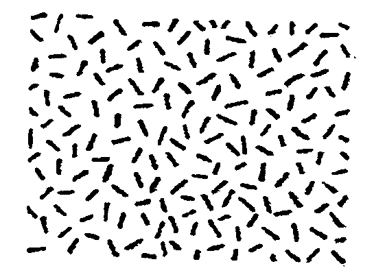 Glass ceramic plate providing a cooking surface for a cooking apparatus and having a coating on an underside thereof and coating process for making same