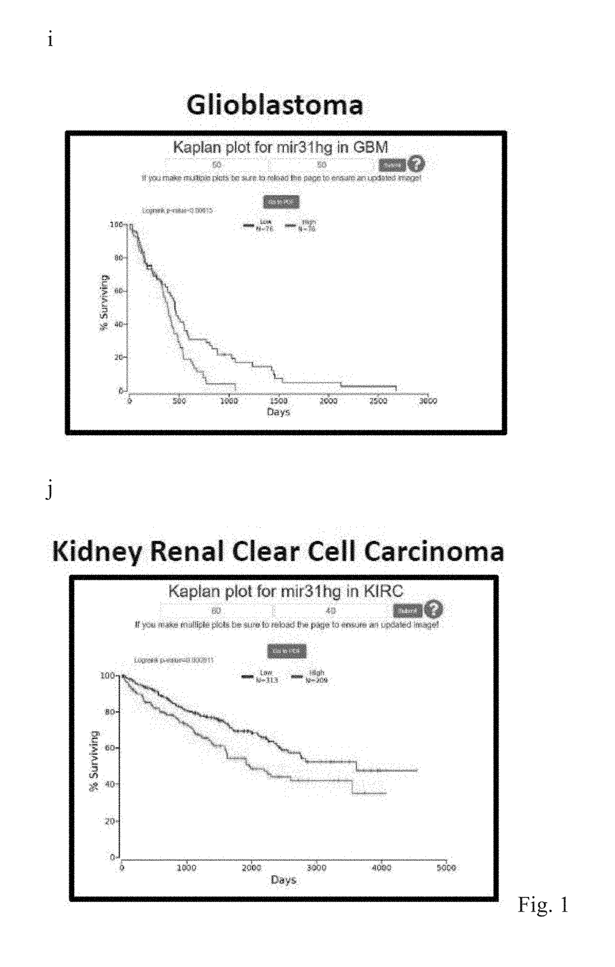 LONG NON-CODING RNA LncHIFCAR/MIR31HG AND ITS APPLICATIONS