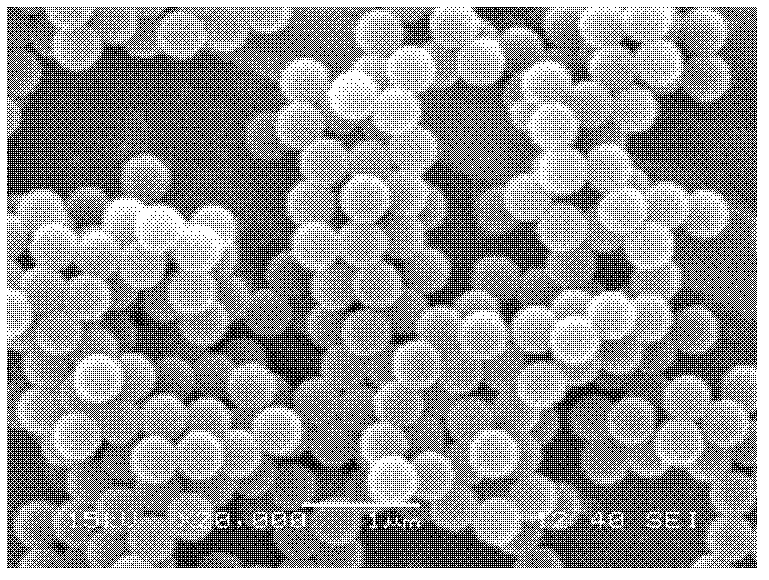 Preparation method for monodisperse cationic polystyrene microballoon sphere with controllable grain diameter