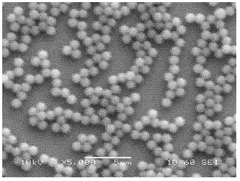 Preparation method for monodisperse cationic polystyrene microballoon sphere with controllable grain diameter