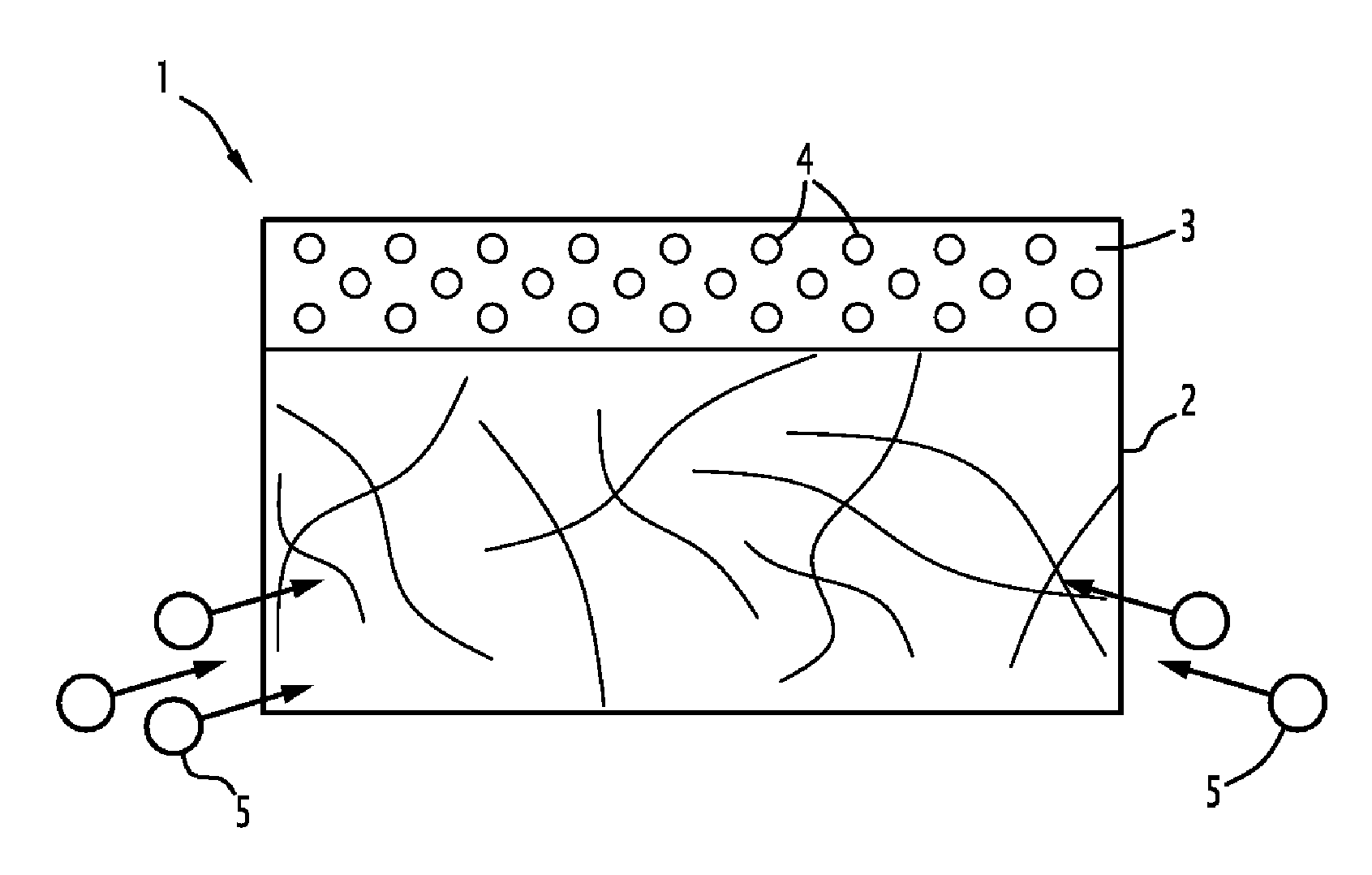 Three-Dimensional Scaffold Functionalized with Micro-Tissues for Tissue Regeneration