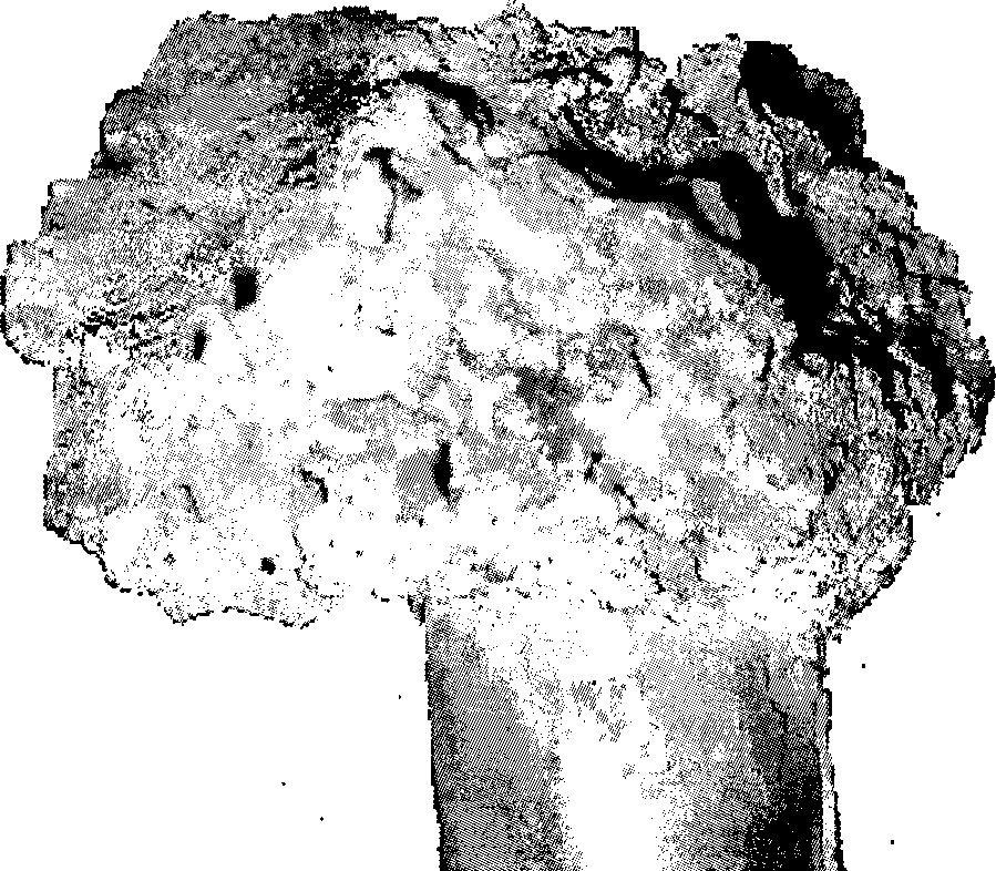 Method for improving combined blown converter campaign length by metal furnace cinder composite mushroom