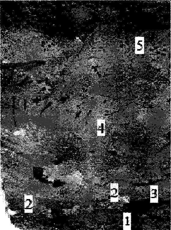 Method for improving combined blown converter campaign length by metal furnace cinder composite mushroom