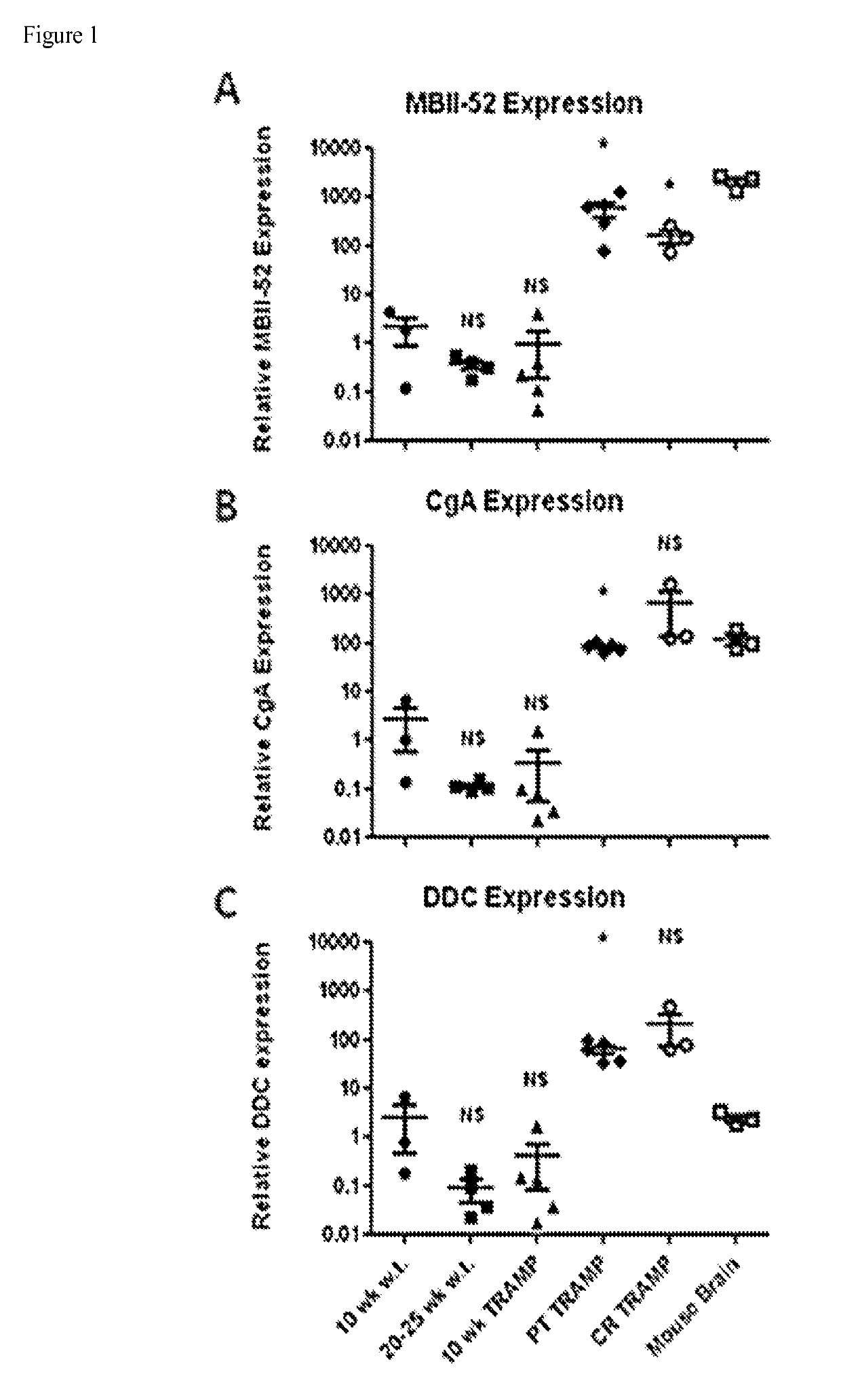 Methods for diagnosing cancer based on small nucleolar RNA HBII-52