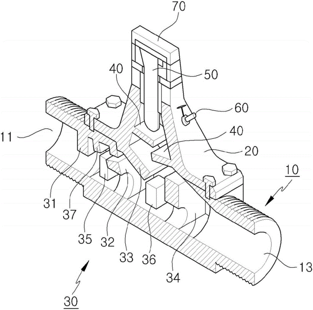 Device for checking leakage of live steam from steam trap