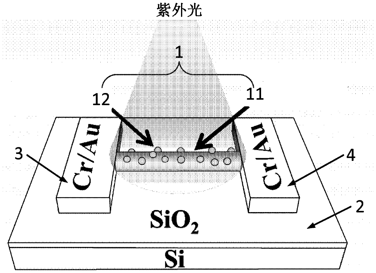 A quantum dot enhanced nanowire and ultraviolet photodetector