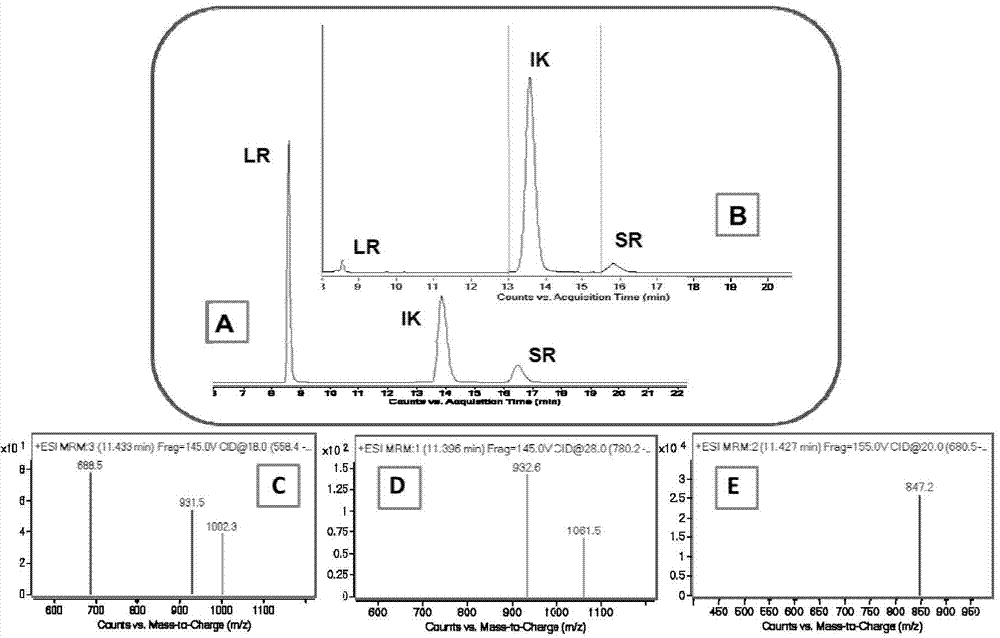 Quantitative detection method for transgene protein CP4-EPSPS in plant