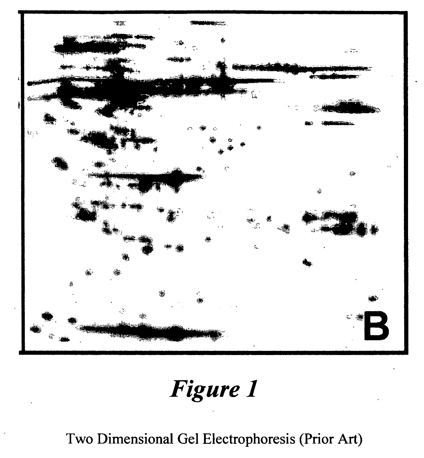 Biological tissue regenerative agent and method for preparing same