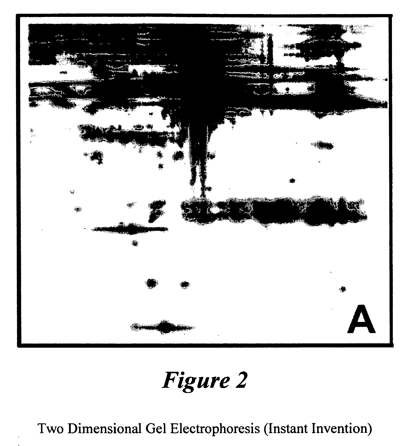 Biological tissue regenerative agent and method for preparing same