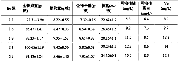 Chinese cabbage simplified water culture method