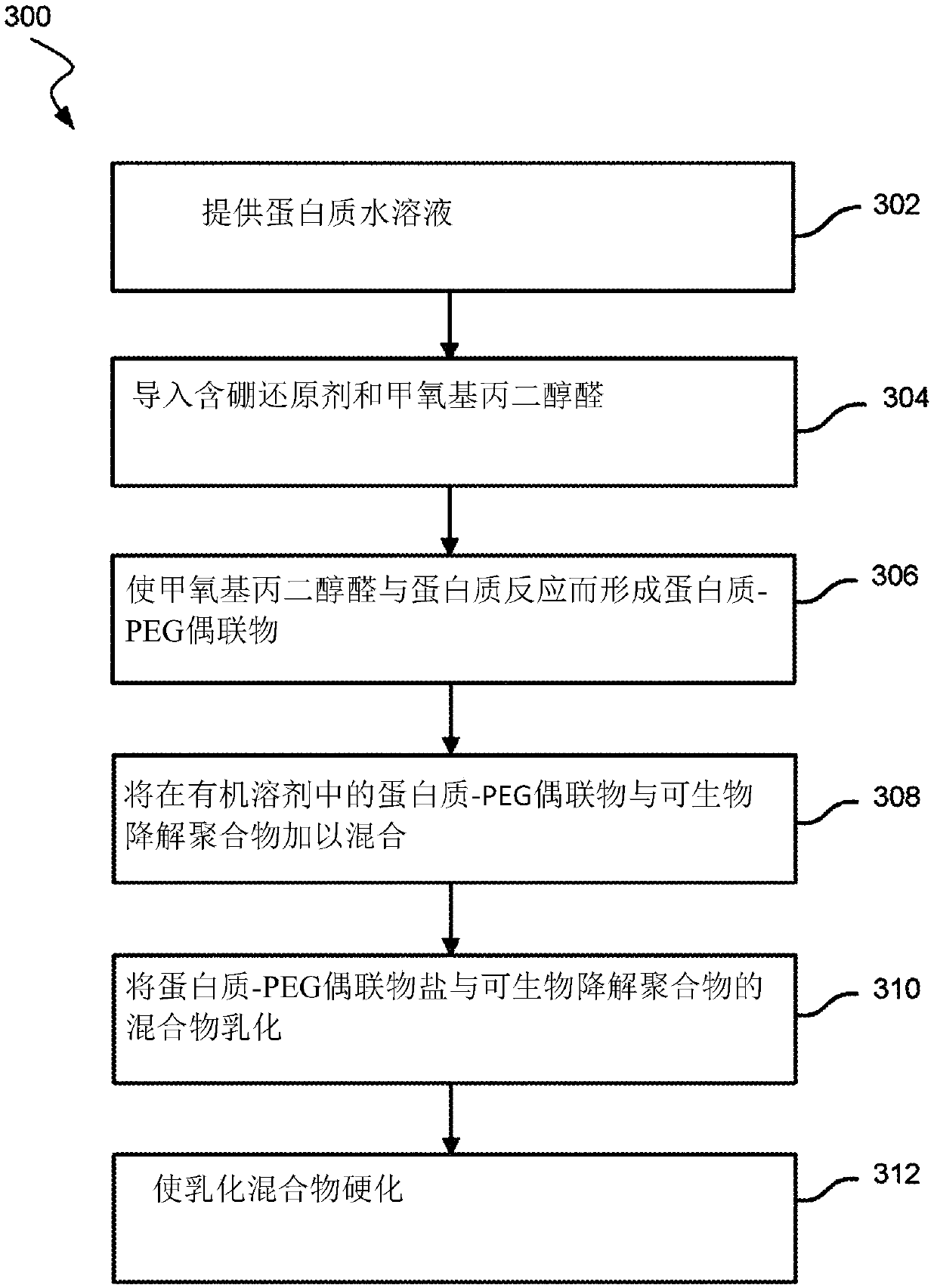 Amine pegylation methods for the preparation of site-specific protein conjugates