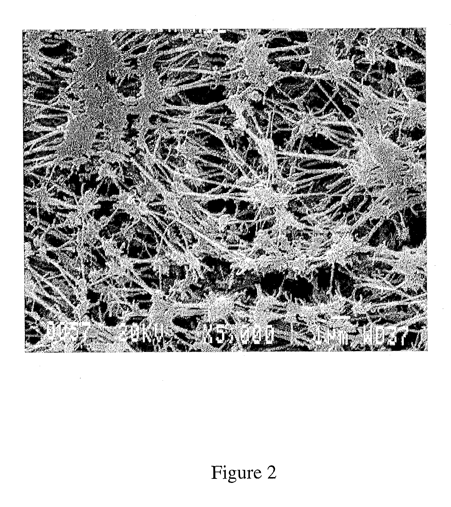 Flue Gas Purification Process Using A Sorbent Polymer Composite Material