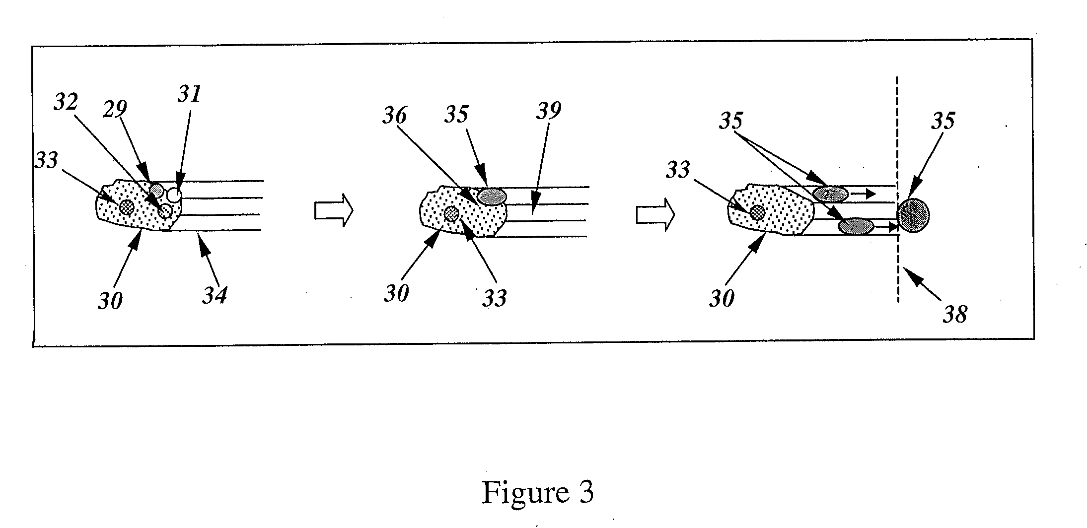 Flue Gas Purification Process Using A Sorbent Polymer Composite Material