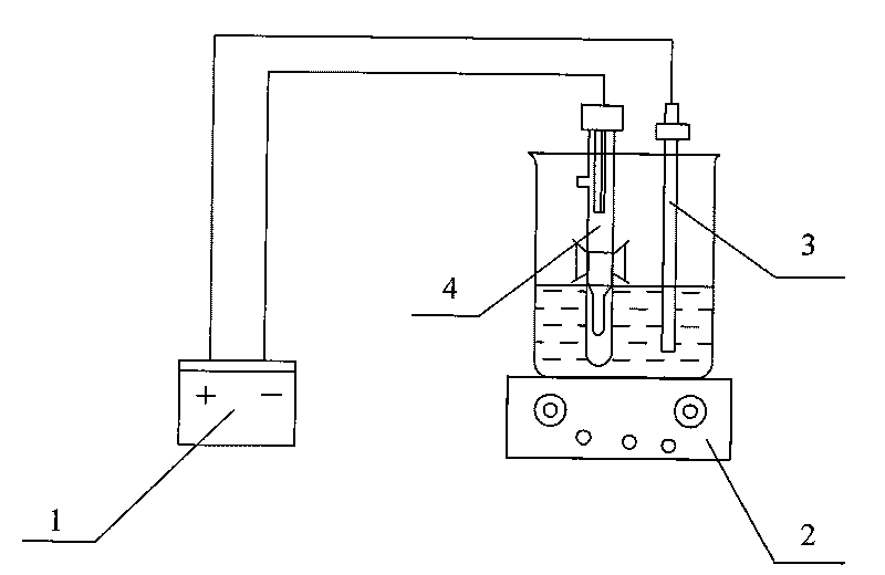 Determination method for chloride ions of foods