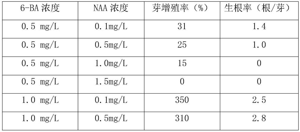 A kind of method for rapid propagation of sealwort