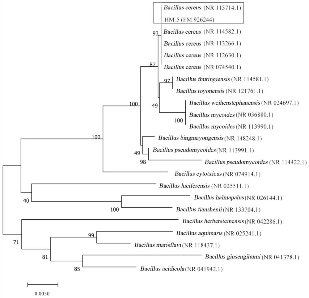 Method for mining microorganism anti-heavy metal function based on conserved sequence clustering analysis