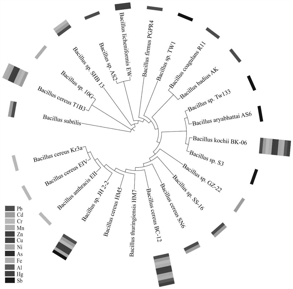 Method for mining microorganism anti-heavy metal function based on conserved sequence clustering analysis