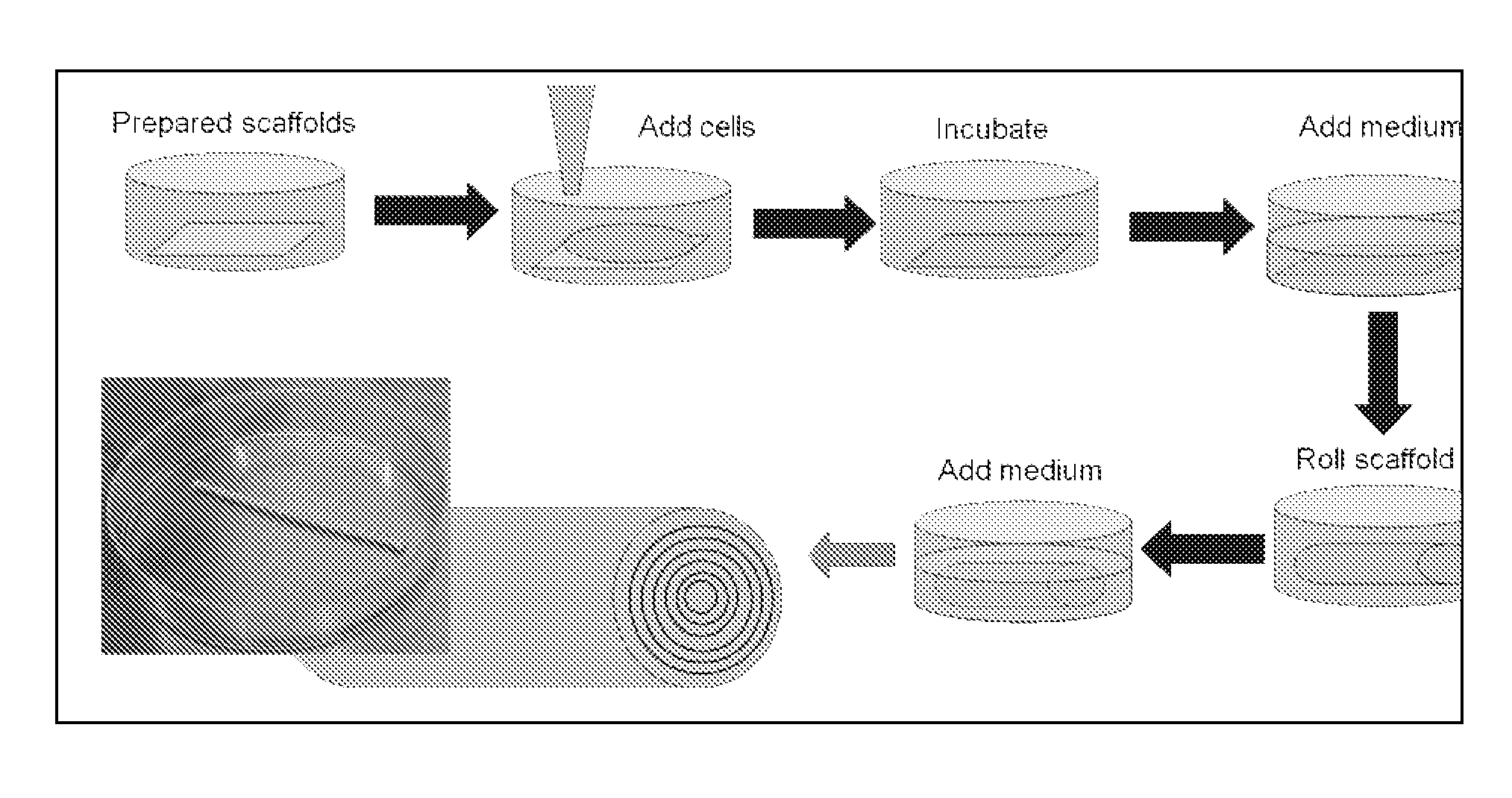 Scaffolds for tissue engineering and regenerative medicine