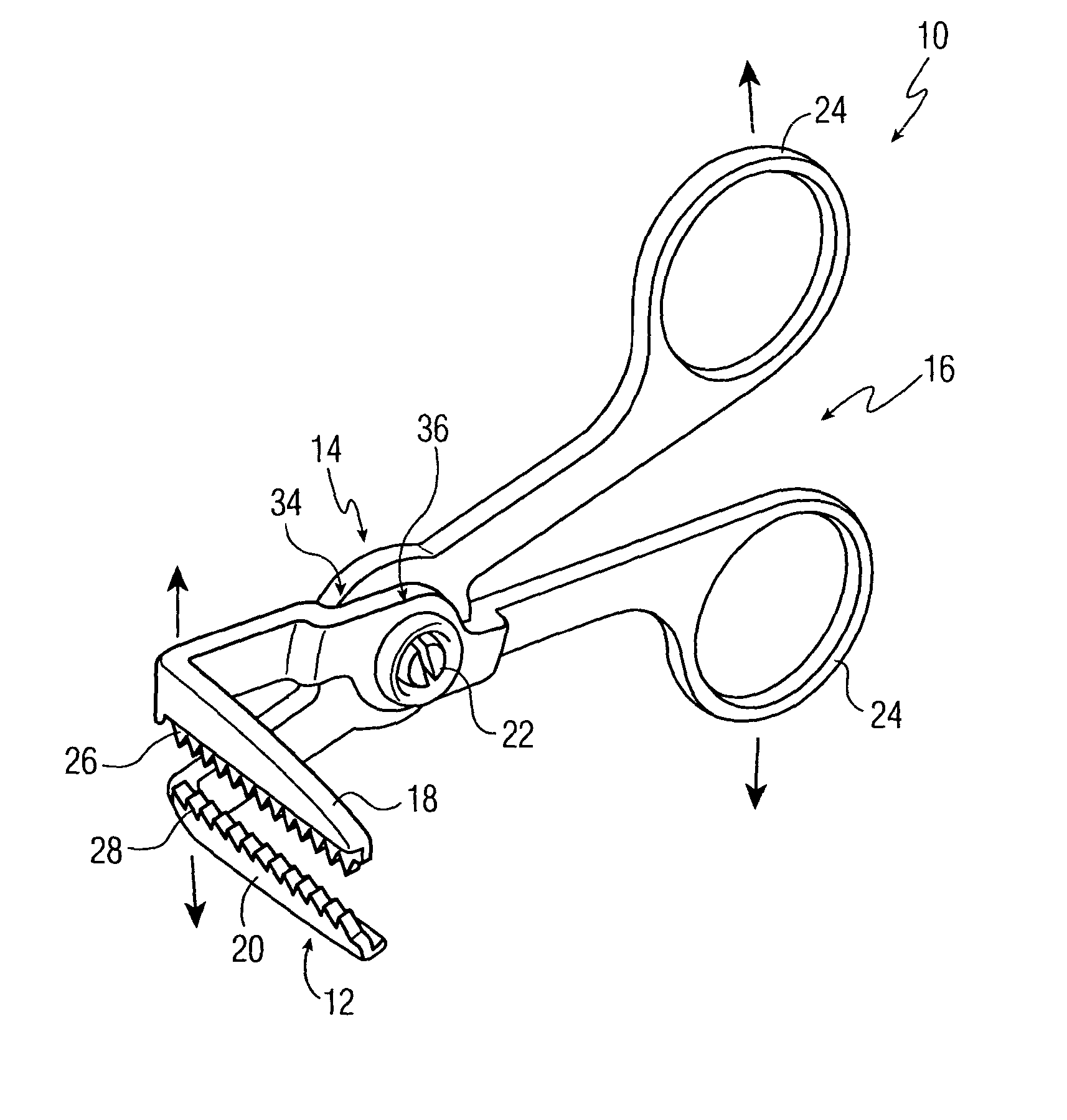 Lice and nit removal device