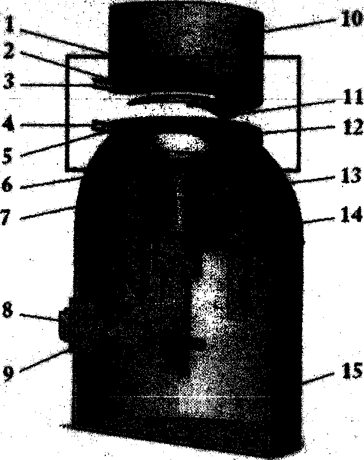 An anterior segment aqueous humor circulation simulation device