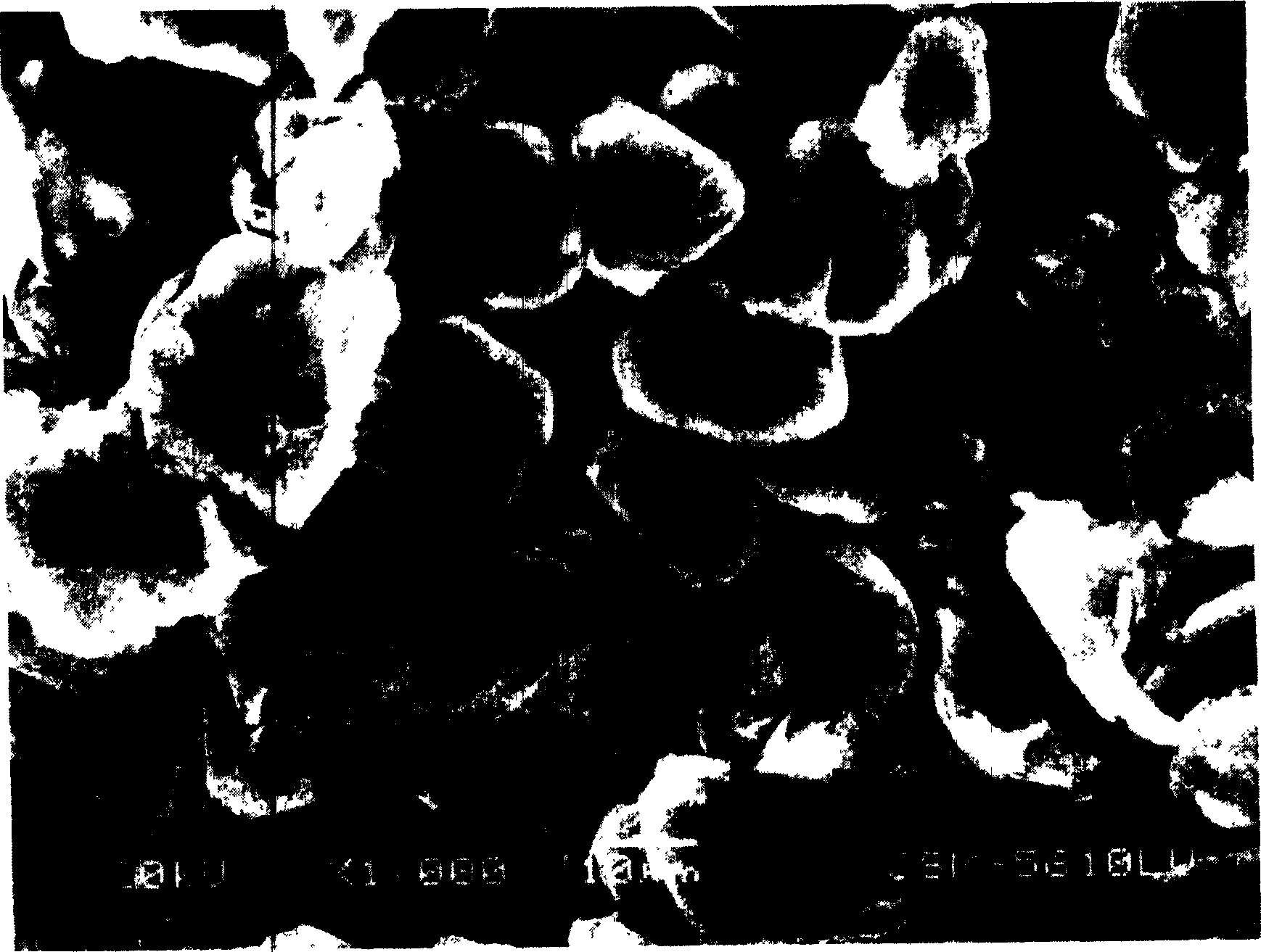 Modified graphite and its preparing method