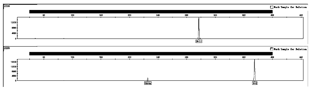 Composite amplification system for nine-valent HPV virus typing detection and kit for composite amplification system