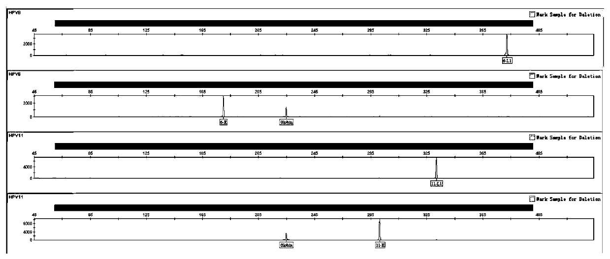 Composite amplification system for nine-valent HPV virus typing detection and kit for composite amplification system