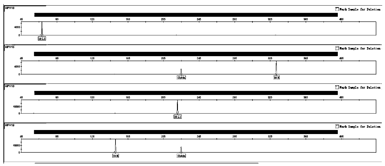 Composite amplification system for nine-valent HPV virus typing detection and kit for composite amplification system