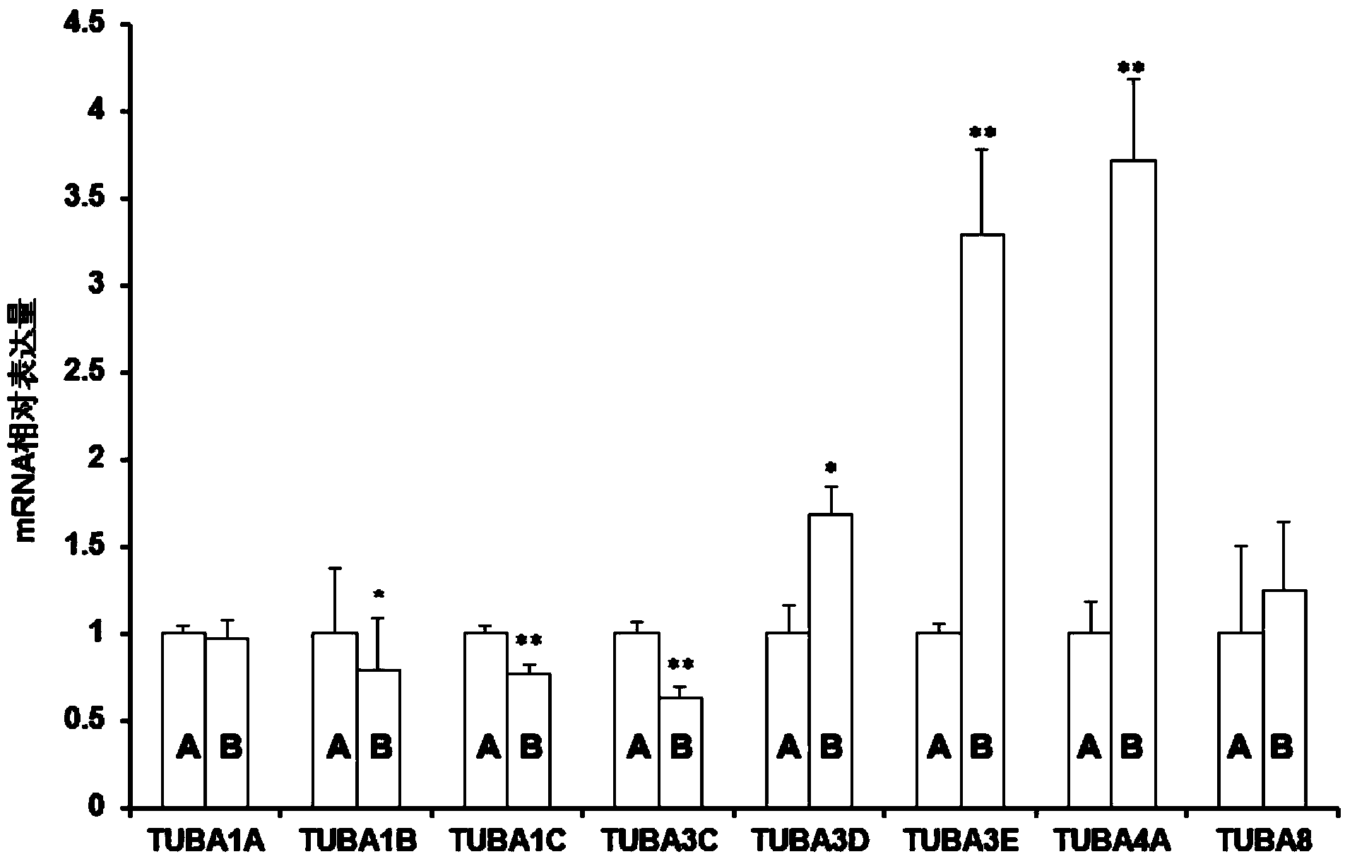 Alpha-tubulin inhibitor and application thereof